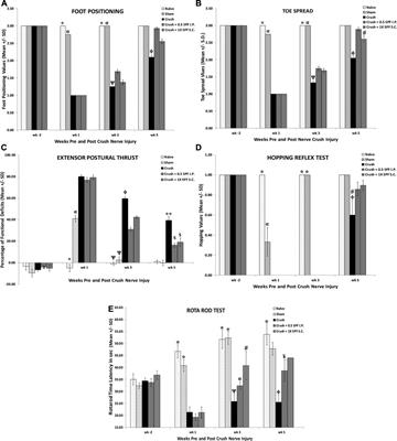 Catfish Epidermal Preparation Accelerates Healing of Damaged Nerve in a Sciatic Nerve Crush Injury Rat Model